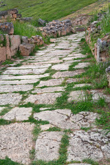 Old paved road