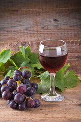Grapes. 