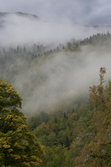 Autumn in the Caucasus. Sochi Region. The surroundings of Krasnaya Polyana.