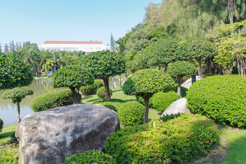 Fototapeta premium Exquisite bushes in the garden