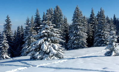 Fototapeta na wymiar tourists skiing Ski resort Borovets, Bulgaria.Hotel complex and panorama of winter mountains