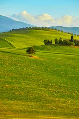 Poster Tuscany, rural sunset landscape. Countryside farm, cypresses tre © ZoomTeam