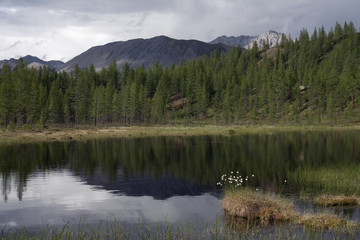 Fototapeta na wymiar Russia, Magadan region, Omulёvskoe midlands.