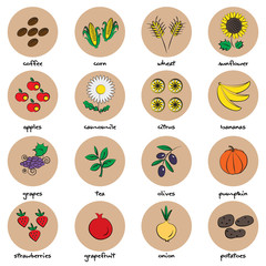 Icons of fruit and vegetables
