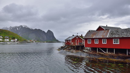 Fototapeta premium Habitations de pécheurs, îles Lofoten Norvège