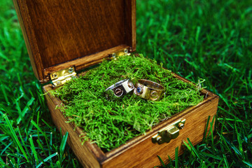 Closeup image of two luxury wedding rings in wooden box 