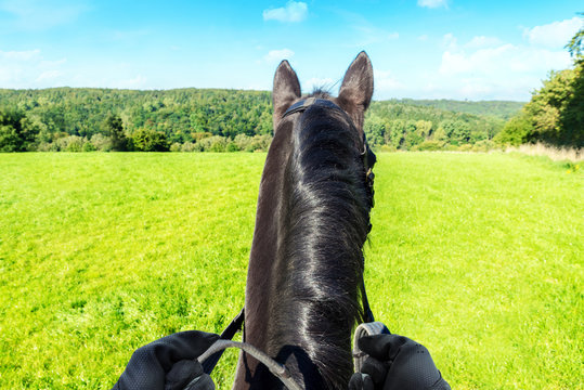 Reiterin auf Pferd mit Blick in die Natur