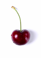 Cherry