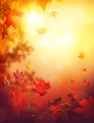 Autumn falling leaves