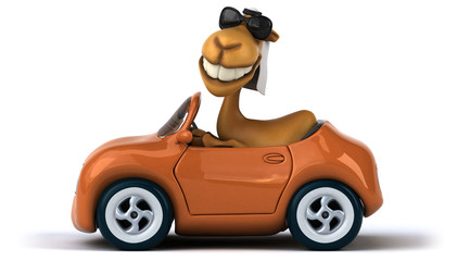 Fun camel