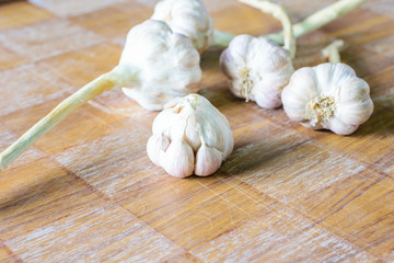 fresh garlic