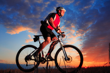 Naklejka na ściany i meble Mountain Bike cyclist riding outdoor