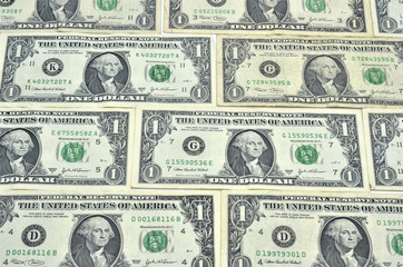 Dólares americanos.