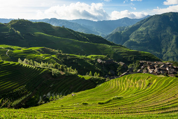 Longsheng rizières en terrasses guilin chine paysage