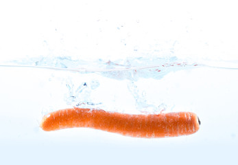 möhre im wasser