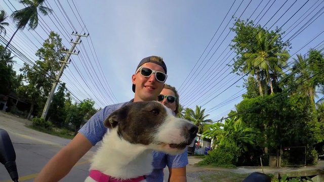 Happy People on Scooter with Dod on Vacation. Slow Motion. 