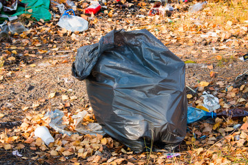 a bag of garbage in the woods