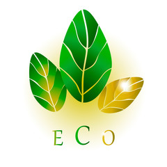 eco design