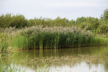 Le Parc de Marquenterre