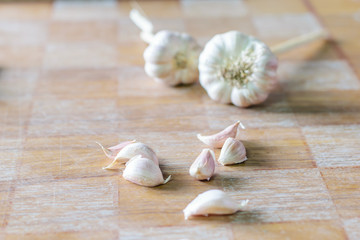 fresh garlic