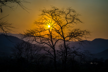 The sunset over the mountains, with trees silhouetted against the sky