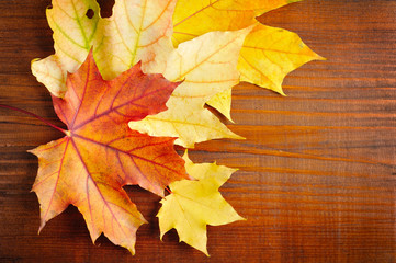 Autumn leaves over old wooden background. With copy space
