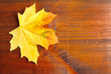 Naklejka na ściany i meble Autumn leaf over wooden background. With copy space