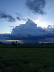 little rain cloud