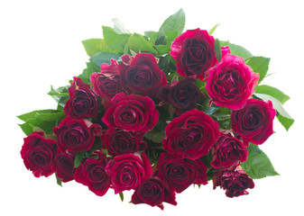 Border of red and pink roses 
