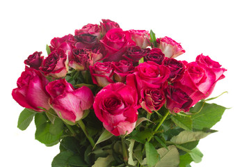 Border of red and pink roses 