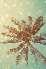 Naklejka premium Vintage color stylized palm tree with bright party bokeh light overlay, double exposure effect