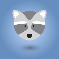 Flat face of racoon.