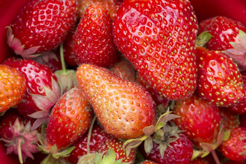 Fresh juicy red strawberry full frame close up