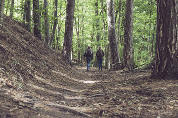 Two women hiking on forest trail. Walking away from camera.