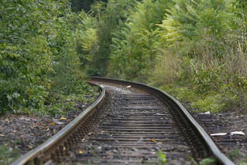 Obraz premium Railway track in a green forest