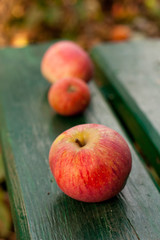 fresh garden apples