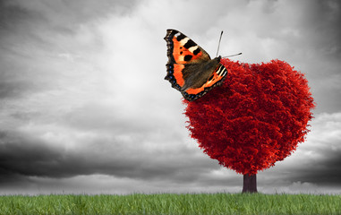 Schmetterling auf Rotem Herzbaum