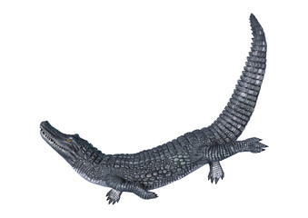 Caiman