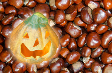 Herbst 14 / Halloween Kürbis