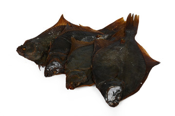 smoked fish salmon and flounder delicious and gourmet food