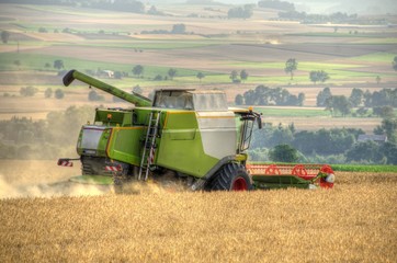 Fototapeta premium Mähdrescher bei der Ernte