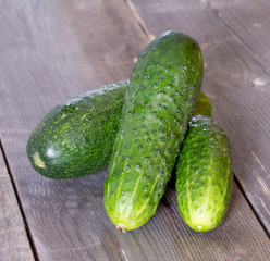 Cucumbers on the old wooden boards