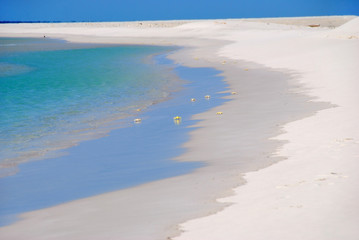 Fototapeta na wymiar Sokotra beach, Yemen