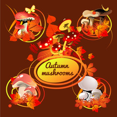 Autumn card, colorful bouquet of leaves and mushrooms