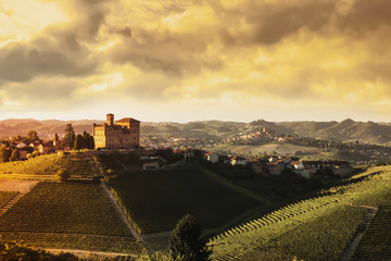 Panoramic view of the Langhe vineyards and hills