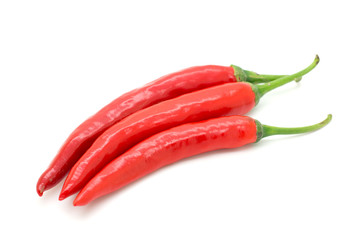 Hot red chili or chilli pepper isolated.