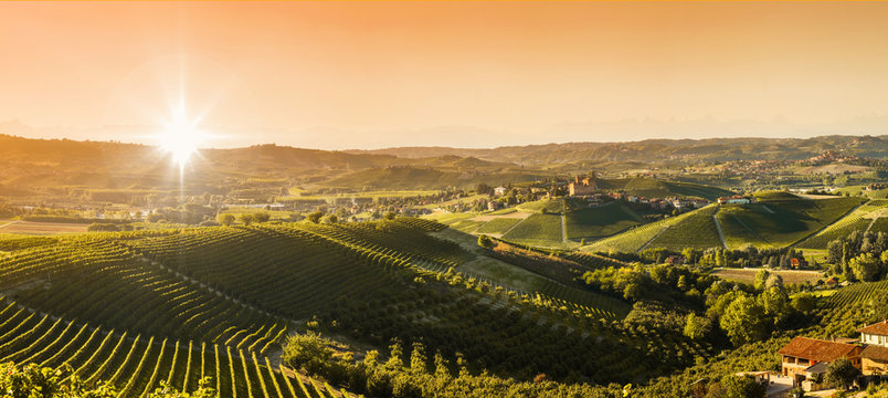 Panoramic view of the Langhe vineyards and hills