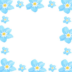 Frame of Forget-me-not flowers, isolated on white