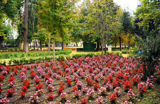 Parque P&uacute;blico Alc&aacute;ntara Romero, Cabra, provincia de C&oacute;rdoba, Espa&ntilde;a