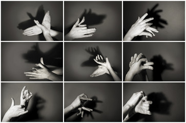 Hands gesture like different  animals and figures on gray background